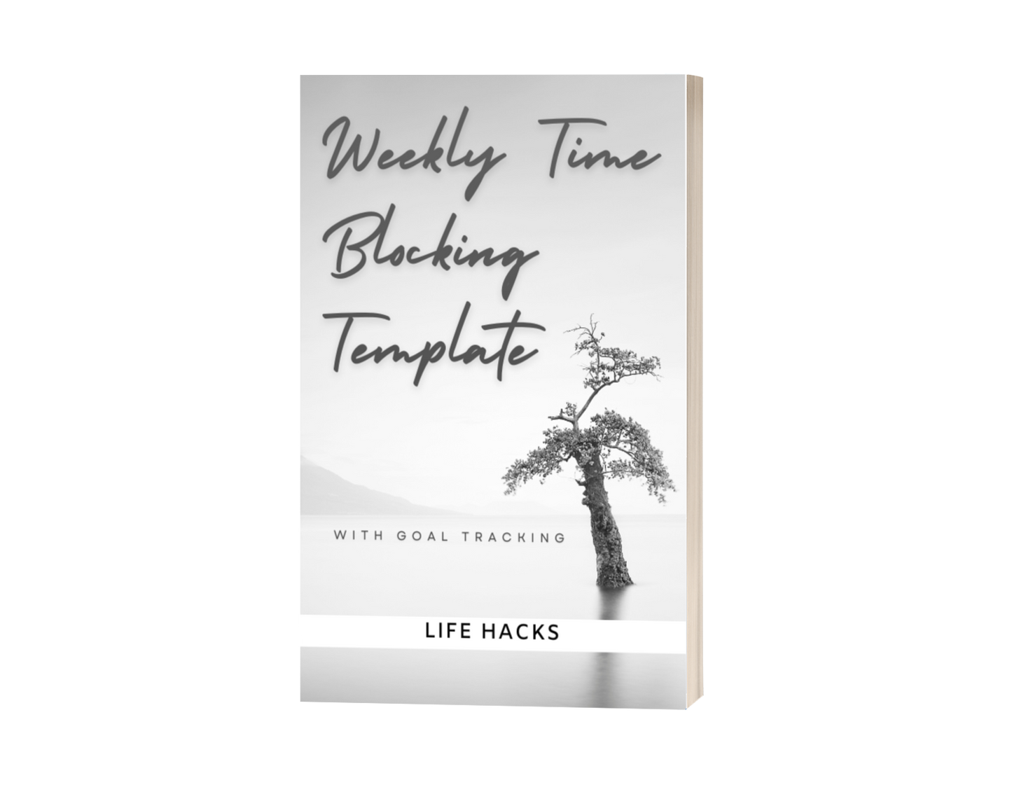 Weekly Time Blocking Template with Goal Tracking